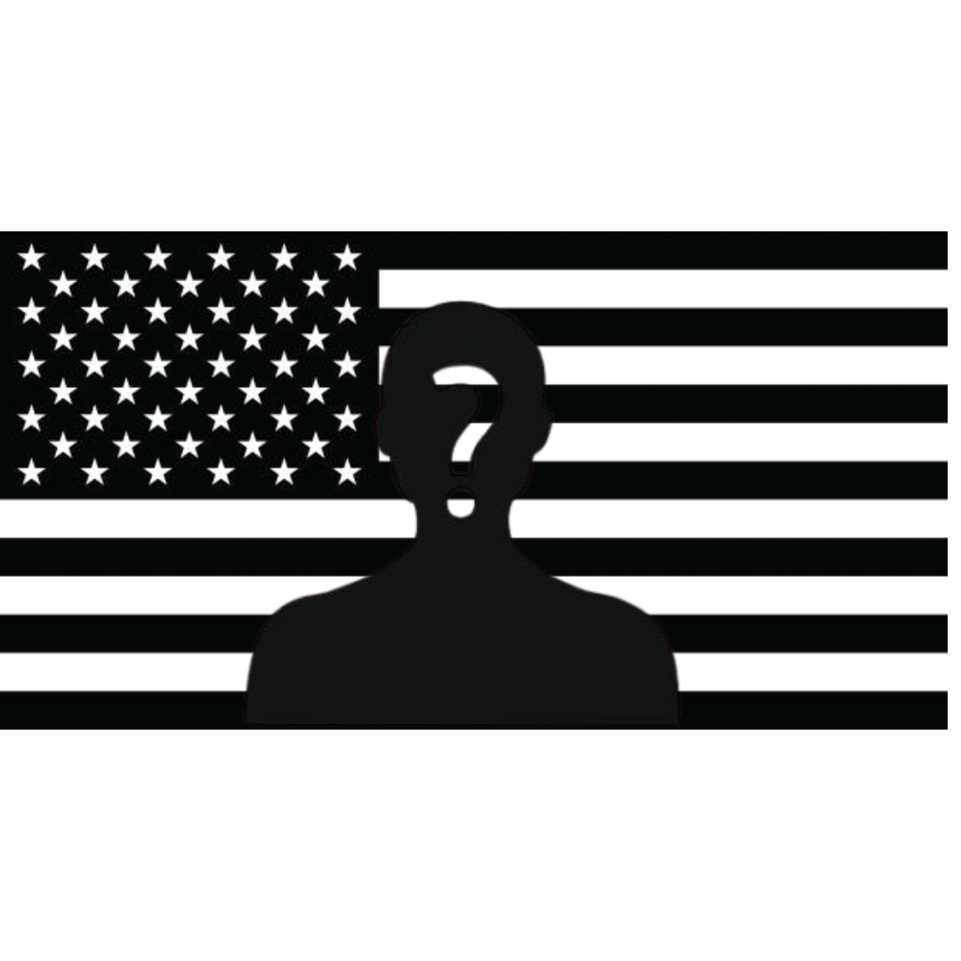 Black American Flag